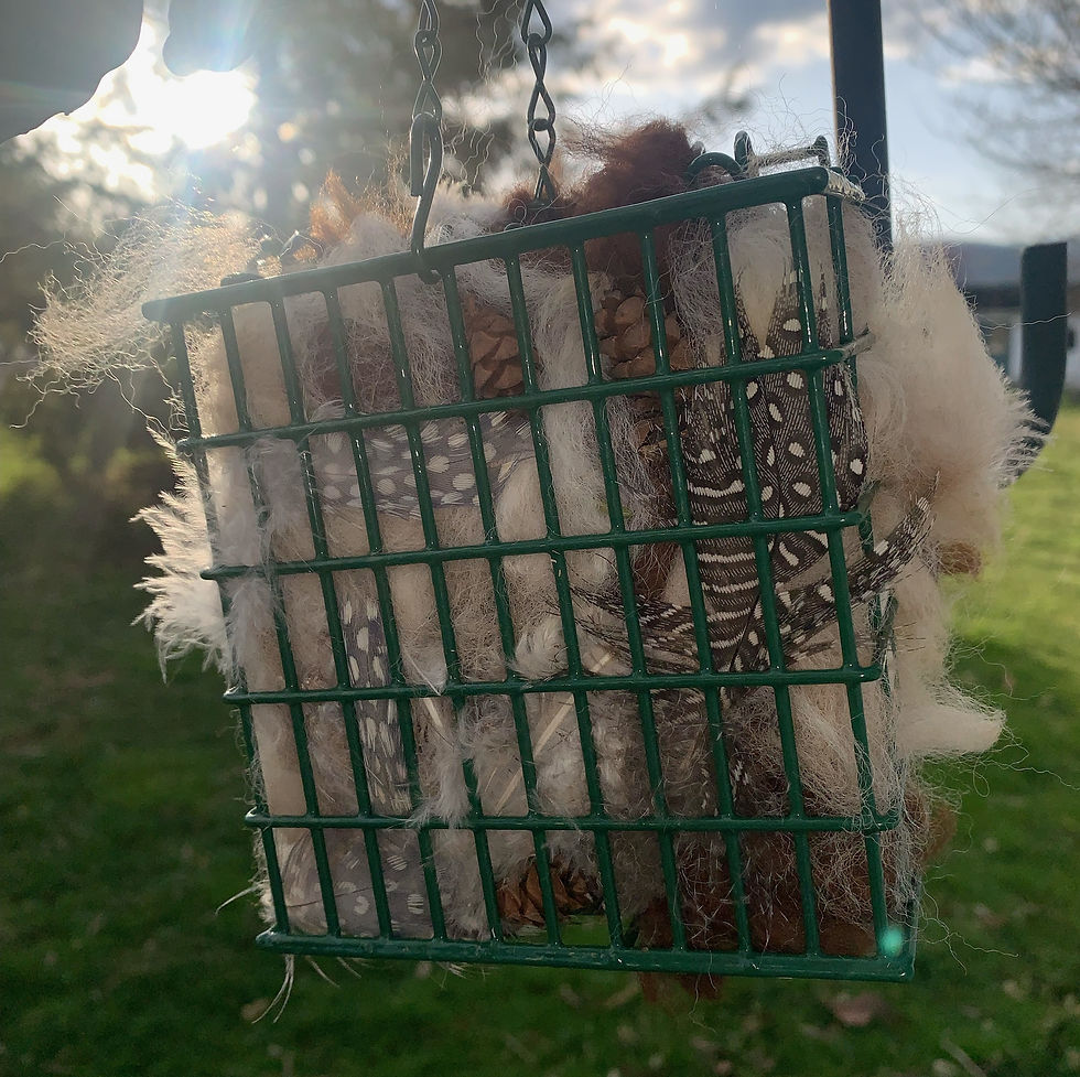 Thumbnail: Bird Nesting Box