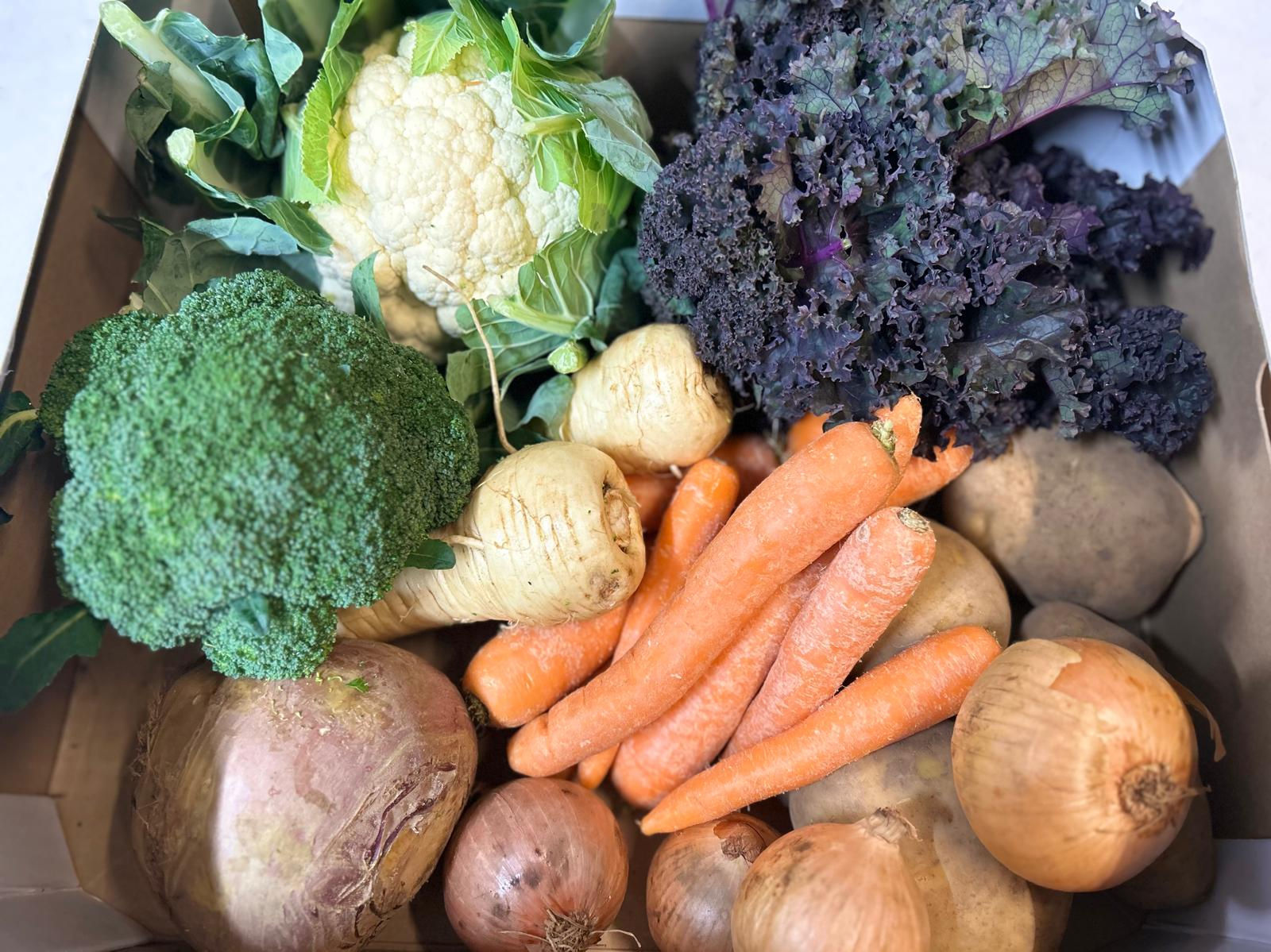 Large Seasonal Veg Box