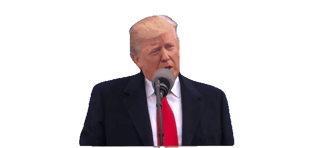 Donald Trump exaggerated his wealth by $3.6 billion, court rules in favour  of New York's AG- The Daily Episode Network