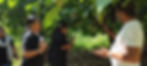 Cocoa farm visit