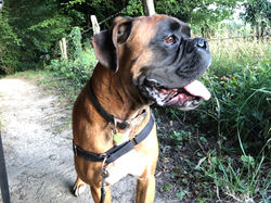 019255200b53d3c10c1aa4b256b43bd17cb4392e