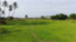 16.3 Acres Commercial Land for sale at Minjur