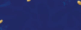 BANNER SITE (3).jpg