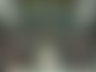 Lobby Letter to Federal Politicians on the Director Digital ID and Our Privacy Concerns