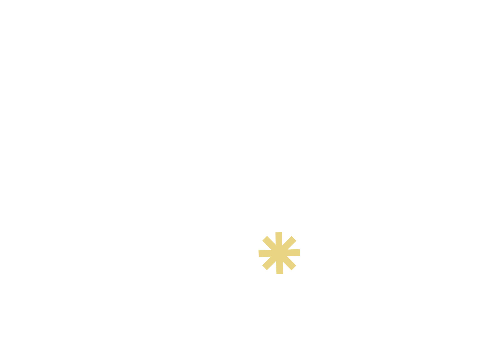 LOGO NOVÝ KVĚTEN.png