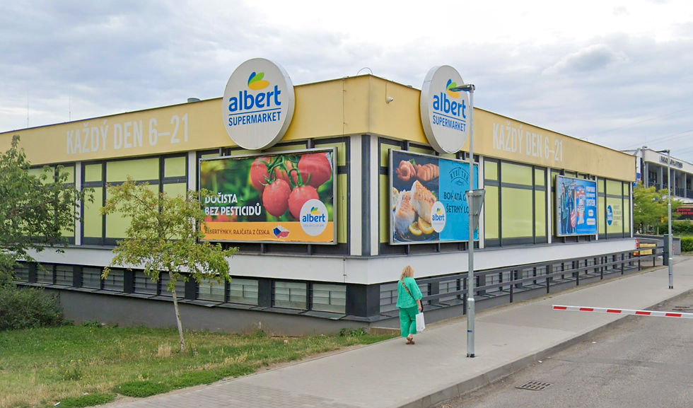 albert-1.jpg