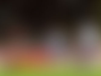 ERRAMOS MAIS, POR ISSO PERDEMOS!