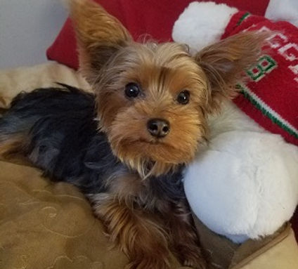 20171129_191103.jpg