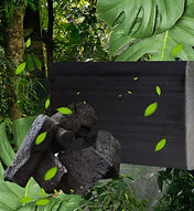 WhatsApp Image 2022-03-14 at 3.38.45 PM (1).jpeg