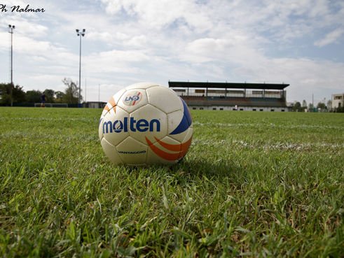 GLI ALLENATORI DEL CASIER DOSSON FORMATI ED AGGIORNATI