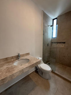 BAÑO EBANO (1)