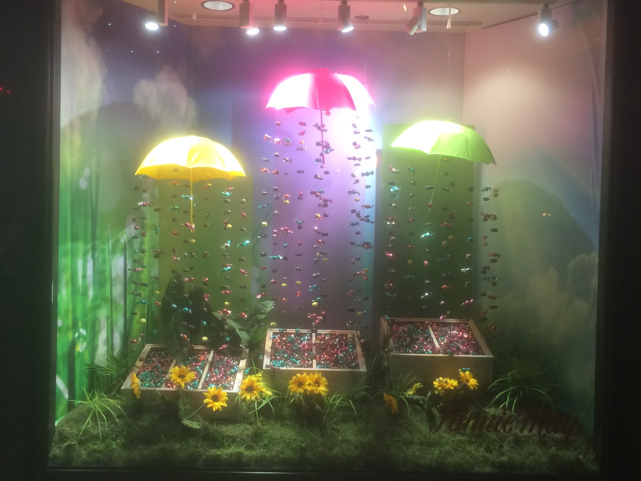 Fannie May Window Displays