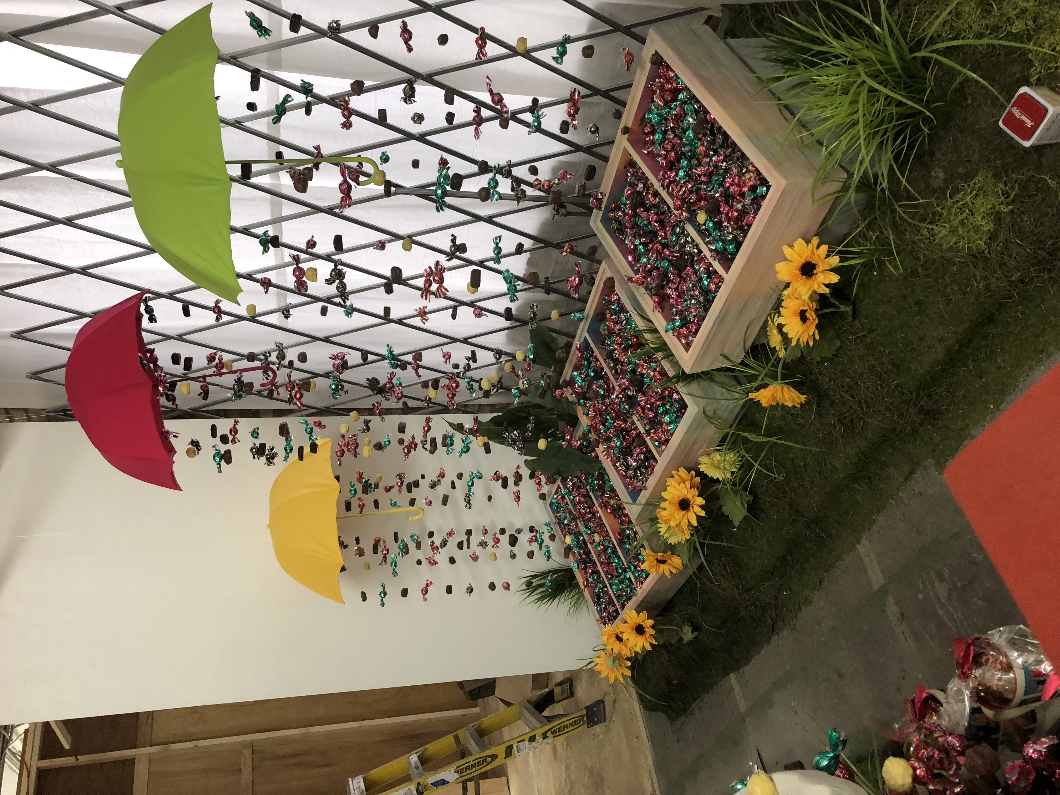Progress of Umbrella display