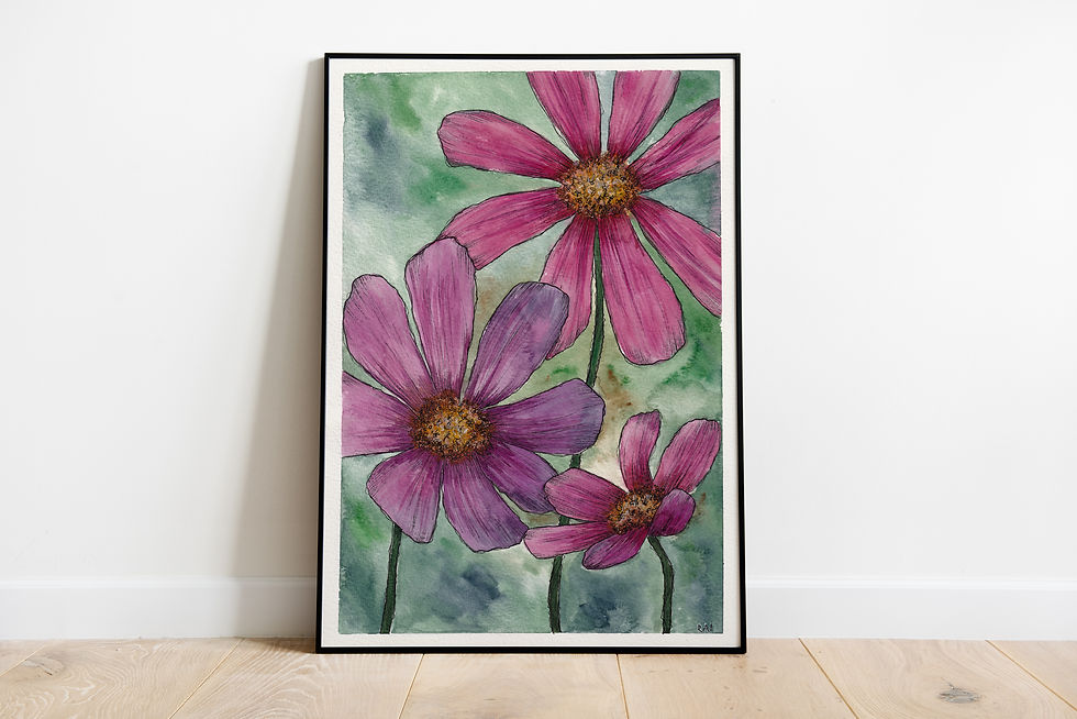 watercolour painting of cosmos flower