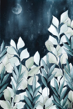 Moonlit plants against a starry night sky