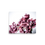 Thumbnail: Tulip 13/13