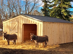 Thank You for Your Support in 2025!