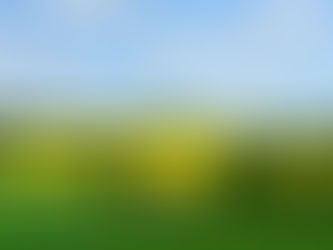 תחזית קרובה עד 5.5