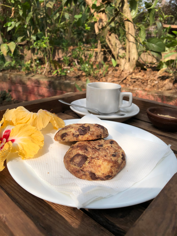 Photograph of the chocolate chip cookie