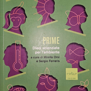 INTERVISTA A GABRIELE VALLARINO