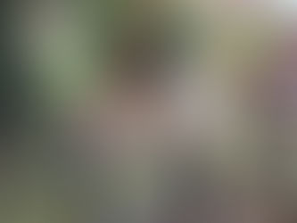 Axes in the Capital – Northern Realms Takes on London