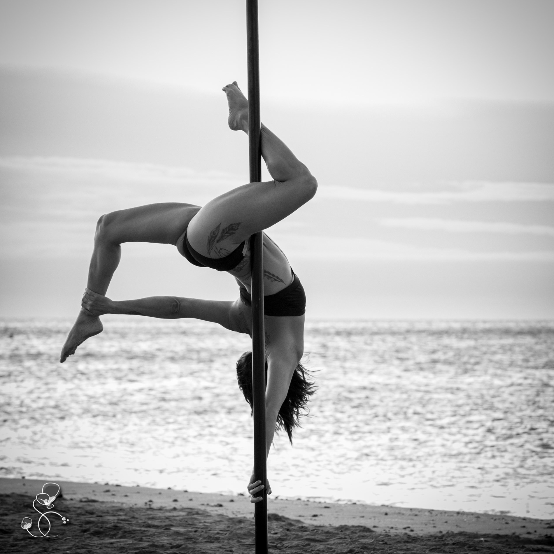 Photo du rédacteur: AERIAL POLE FIT 