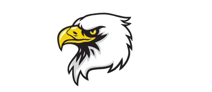 Green Black and White Dynamic Esports Eagle Twitch Banner (2).png