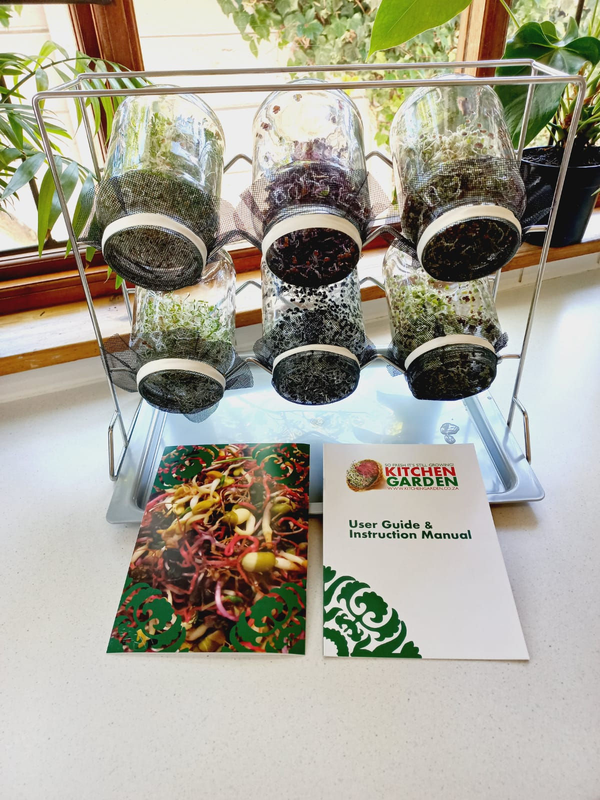 Kitchen Garden 6L Sprouting Kit with fresh sprouts