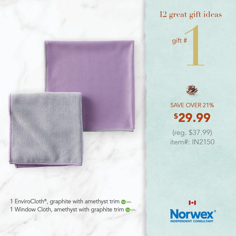 Twelve Days of Norwex Christmas :)