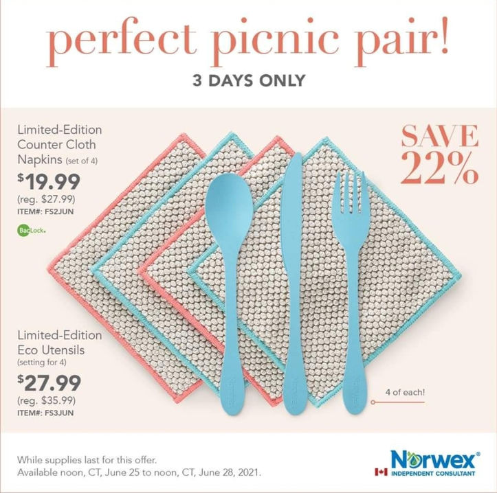Norwex Flash Sale