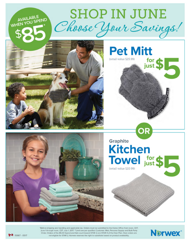 Norwex June 2017 Special