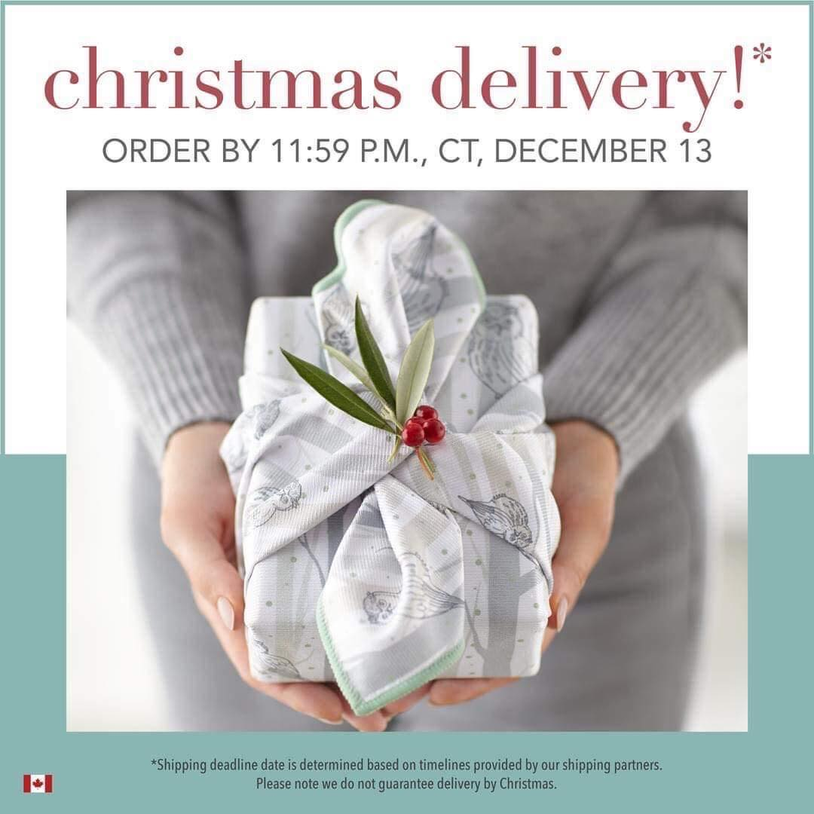 Shop Norwex Specials | Christmas Gift Ideas