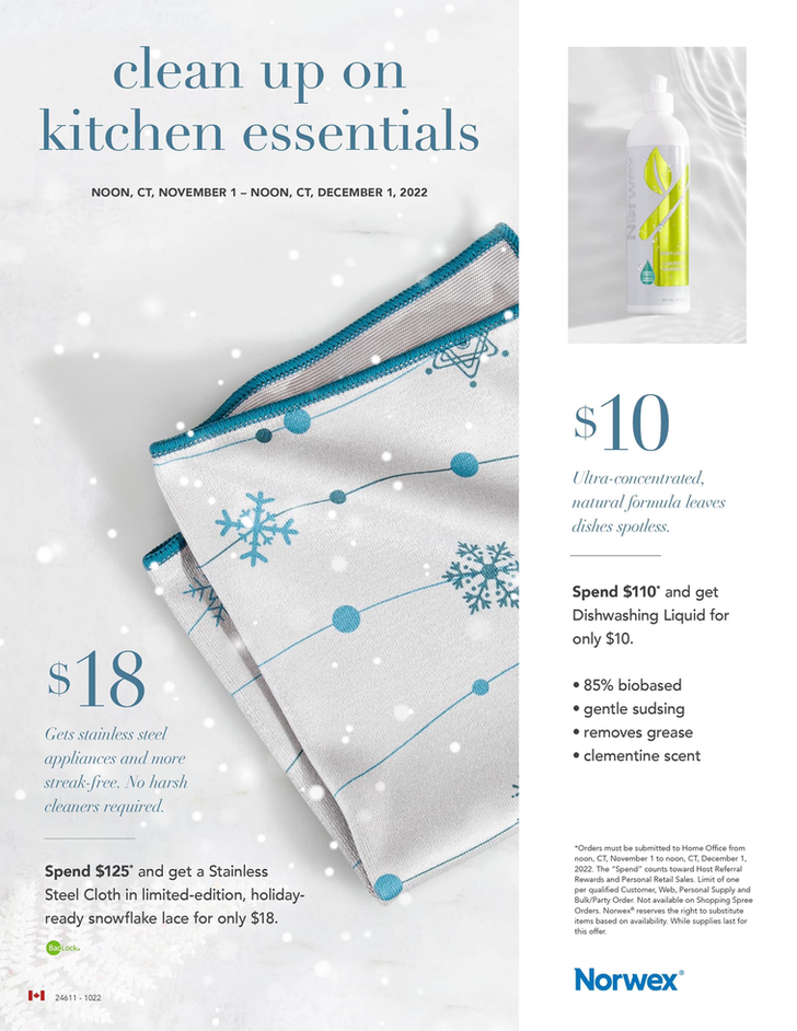 Norwex Special for November: 