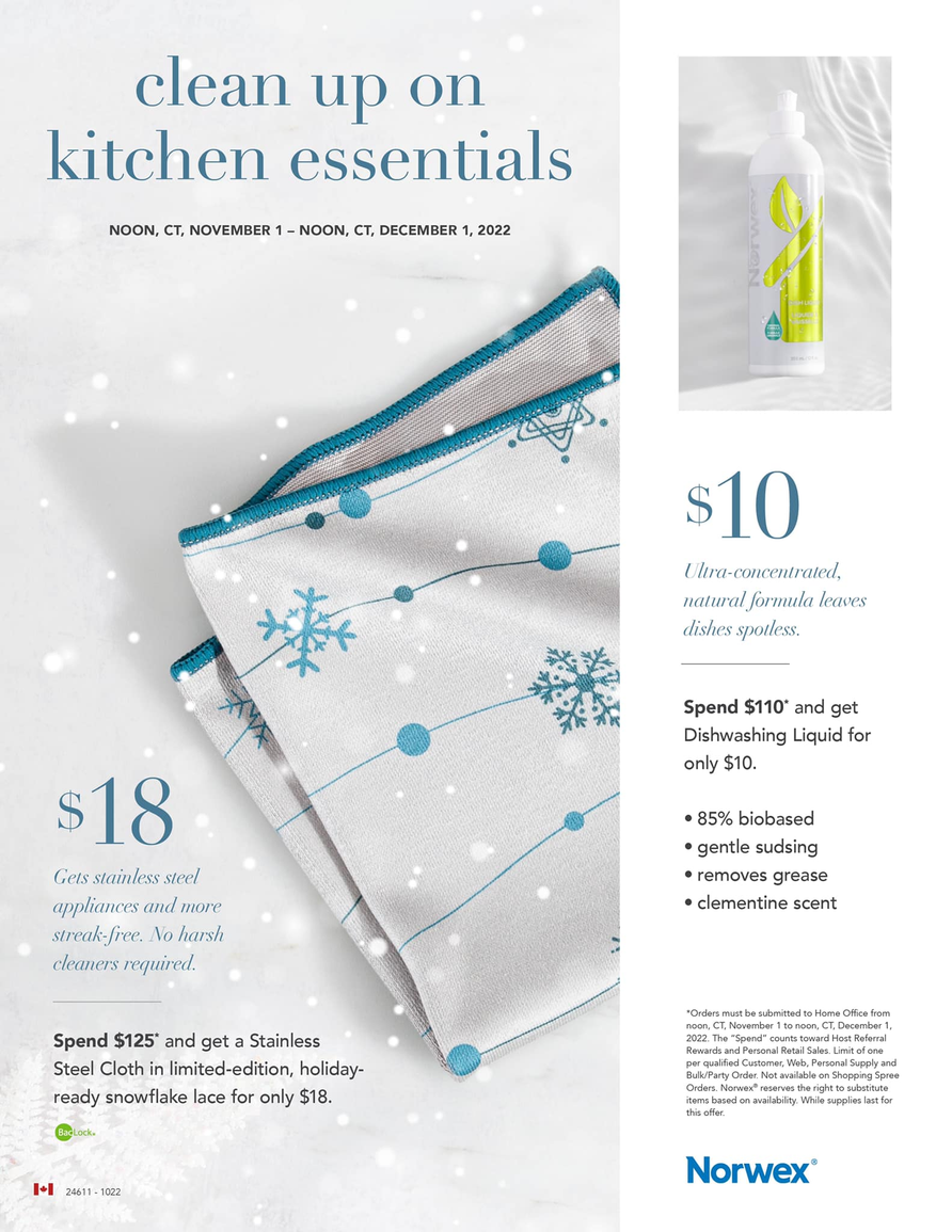 Norwex Special for November: