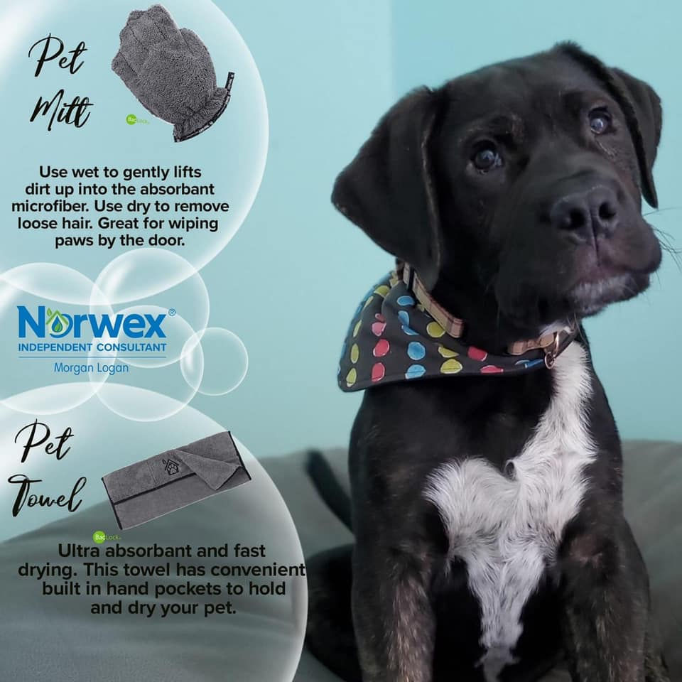 Norwex Pet Towel Now Available in Canada