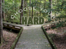 Image of trail