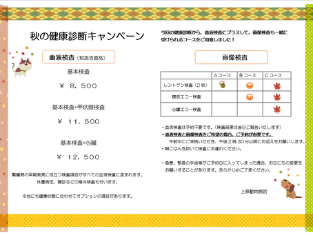 秋の健康診断キャンペーン、画像検査のコースも作りました!