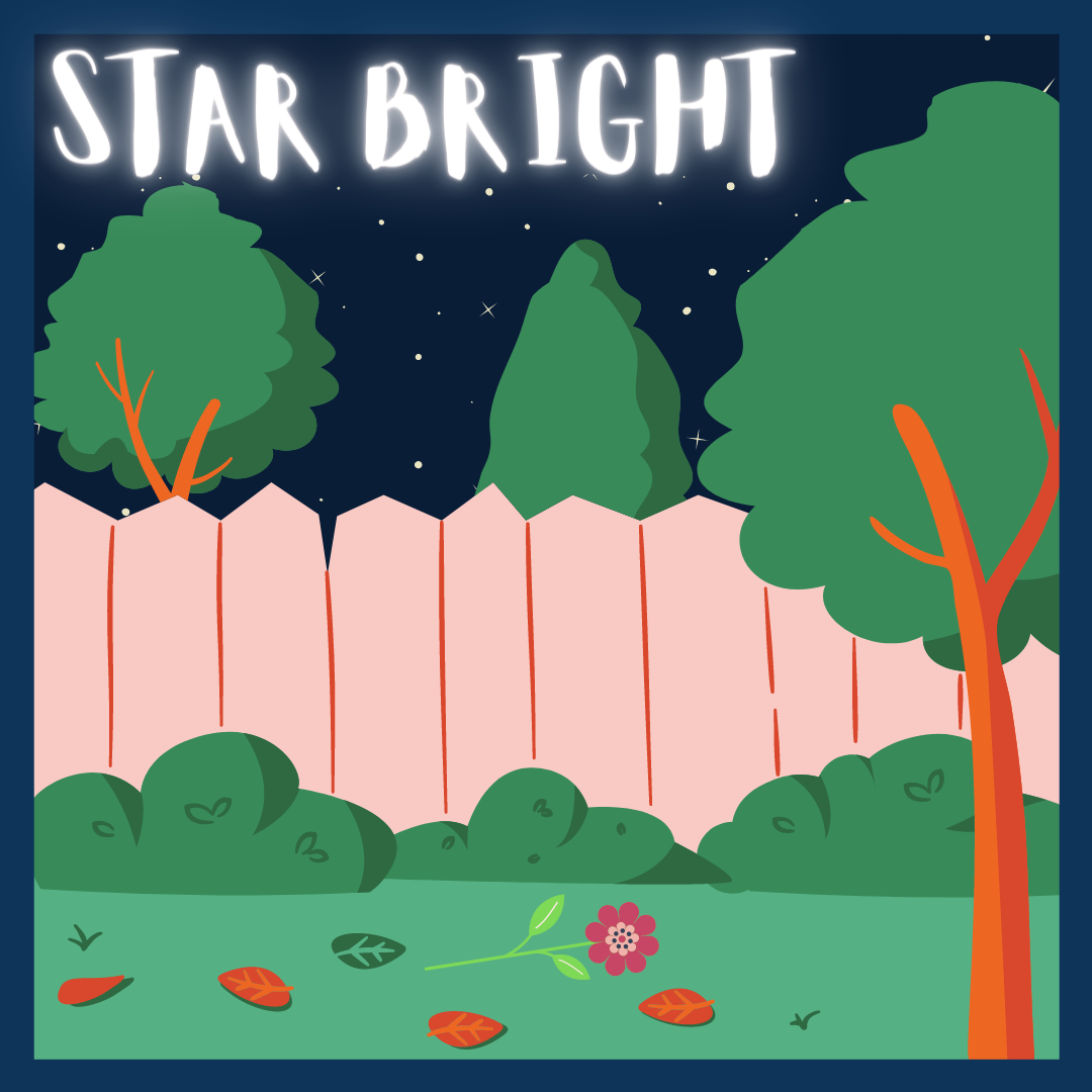 STAR BRIGHT