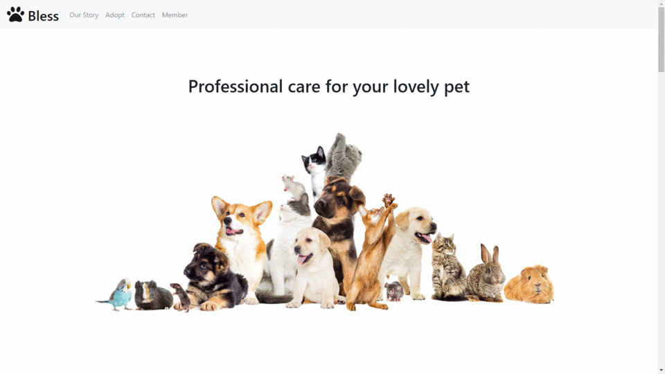 (GIF_Img)ProgD-Proj_1-The Pet Haven.gif