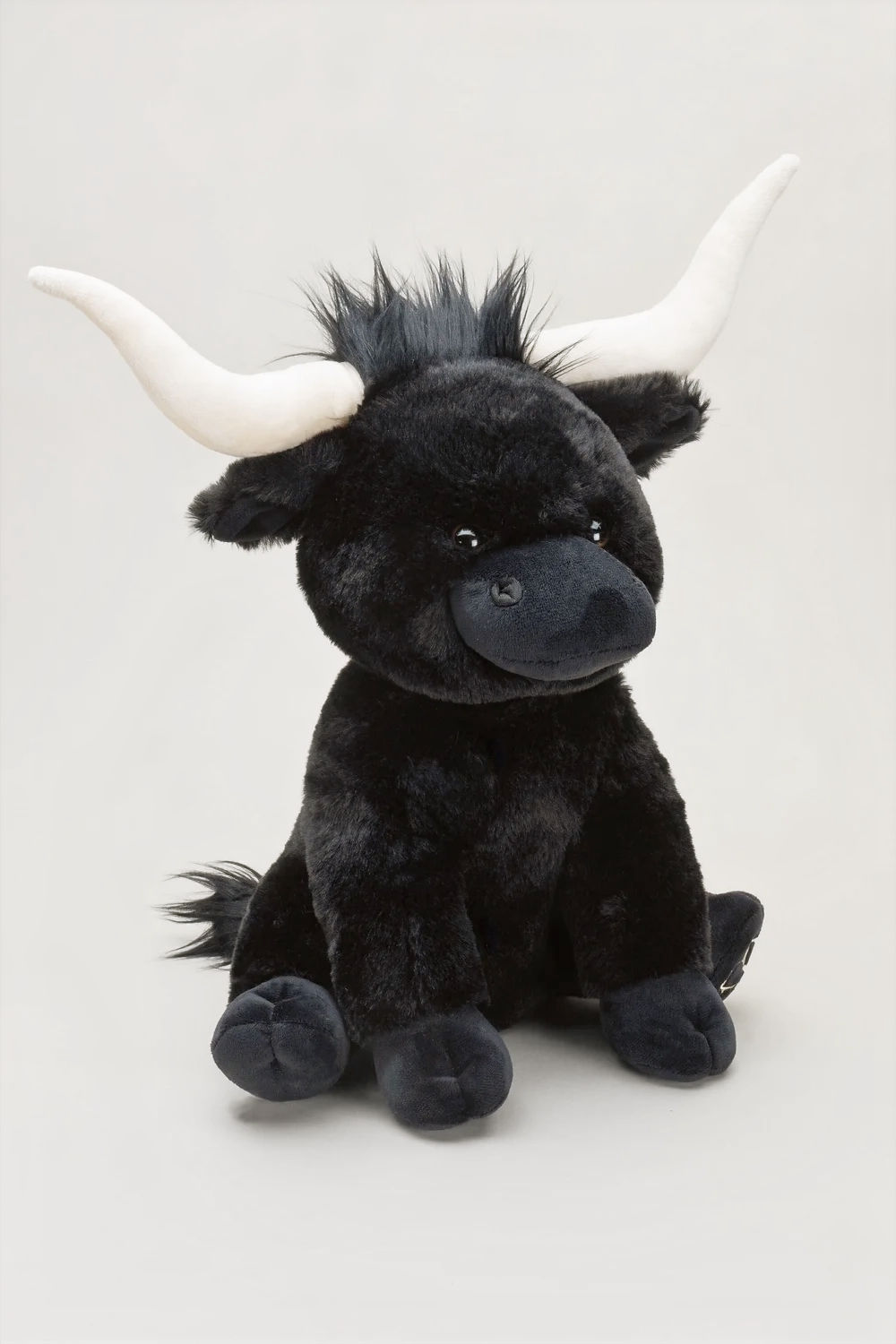 Large, black Longhorn cow