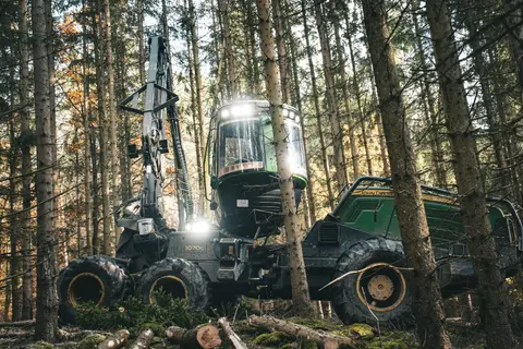 Sklizeň dřeva v lese: těžební harvester