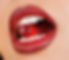 DSC06837.jpg