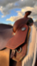 Picture of a Las Vegas Platinum on a horse, it is a western saddle made by Stella Saddlery with smooth leather on seat, side jockey and fender.