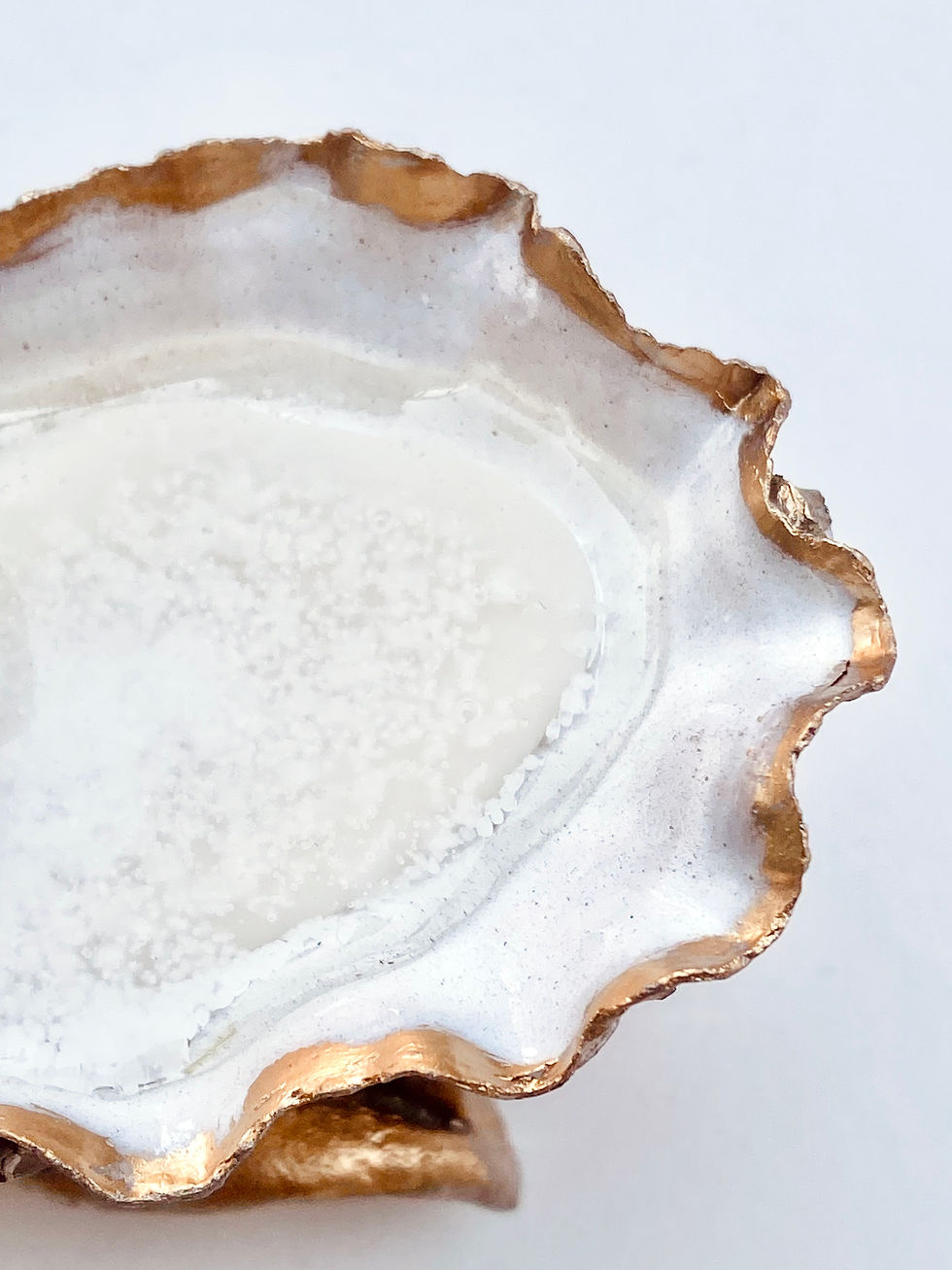 Thumbnail: The Oyster of Faith