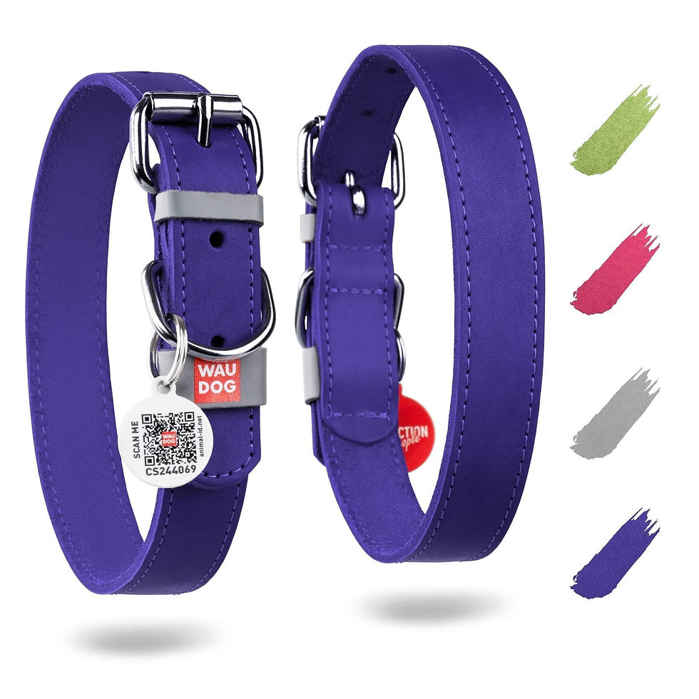 Thumbnail: Purple Long Lasting Leather Dog Collar for Small Dogs 1114 inch Neck Adjustable