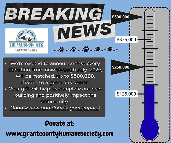 Untitled design (5).jpg