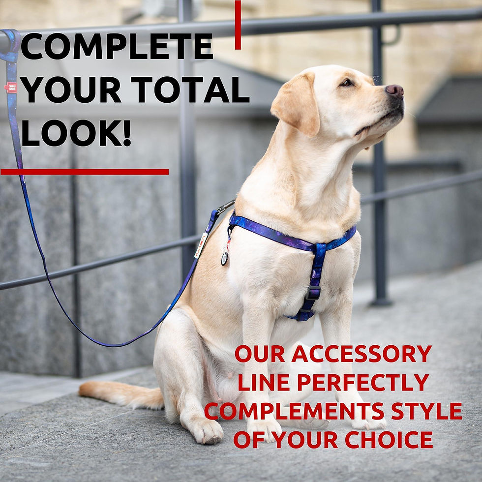 Thumbnail: Nylon Dog Leash for Medium and Large Dogs 4 Ft x 1 Wide NASA Design Heavy Duty