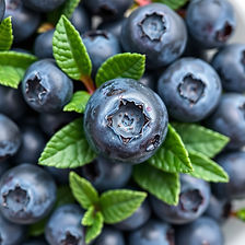 fresh blueberries.jpg