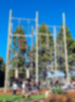 20230728_102319 (1)