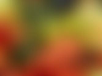 Latest Figures Show Food Prices Continue To Climb